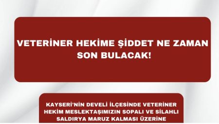 Veteriner Hekime Sopa ve Ateşli Silahla Saldırı